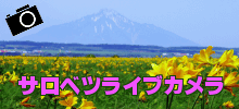 サロベツライブカメラ