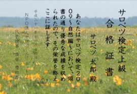 検定の合格証書