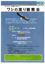 観察会チラシ