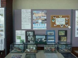創作動物折り紙は6種類