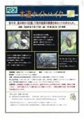 観察会チラシ