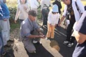 オオヒシクイの好物、ヒシの実について解説