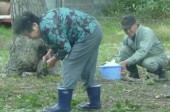 夫婦で仲良くドングリ拾い