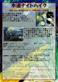 観察会チラシ