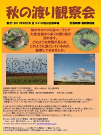 観察会チラシ