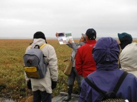 原生花園園地跡地の木道の撤去跡を見学