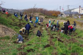 植樹イベント