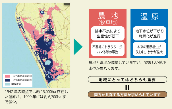 サロベツ湿原の課題