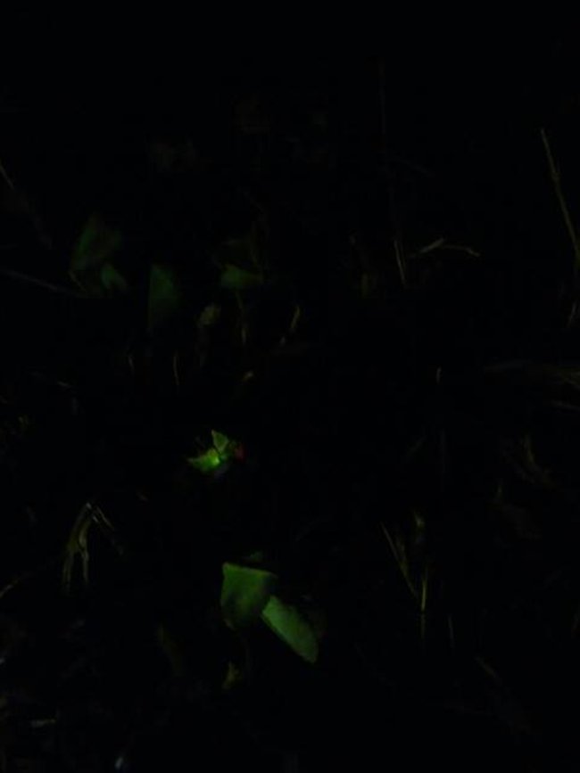 13071401