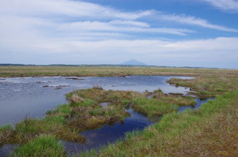 IMGP6947
