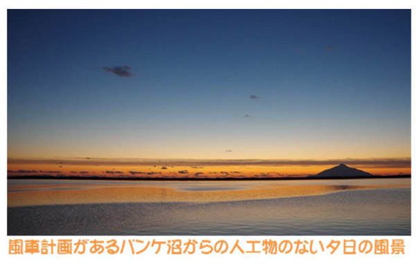 夕日