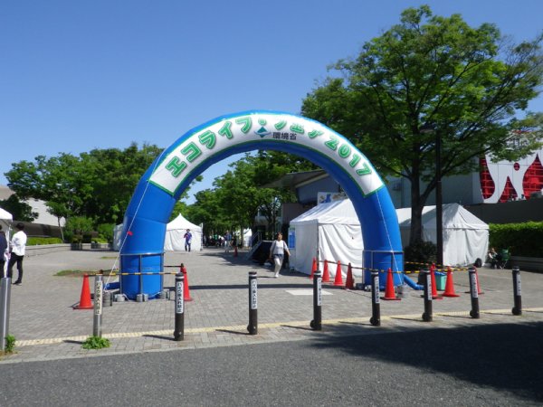 IMGP0003