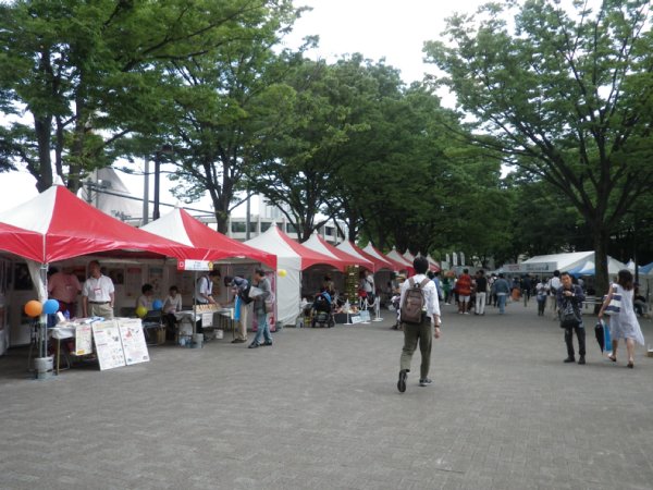 IMGP0039