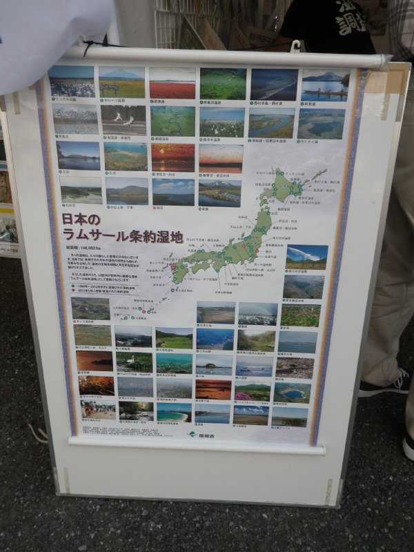 IMGP0050
