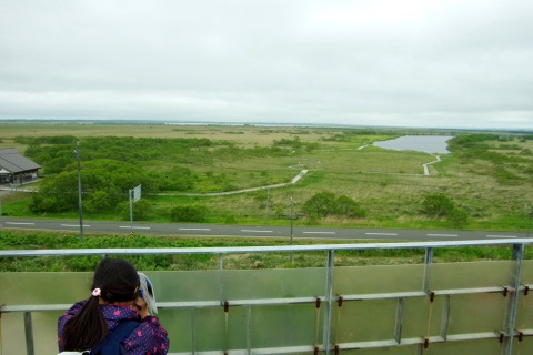 IMGP5024