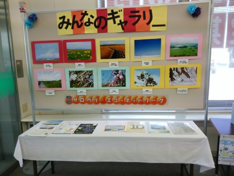 IMG_20170718_094626