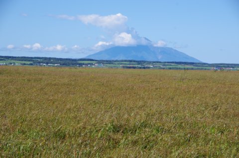IMGP1566