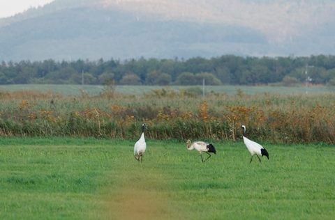 DSC_1764-2
