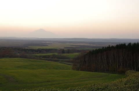 IMGP3055