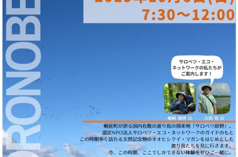 10/6(日) 秋のサロベツ原野渡り鳥観察ツアー in幌延町