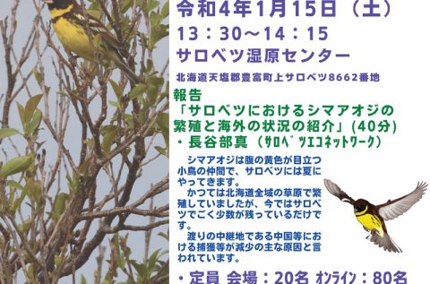 【22.1.15】シマアオジ報告会2021(サロベツ湿原センター＋オンライン）