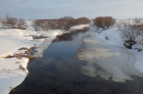 サロベツ川解氷