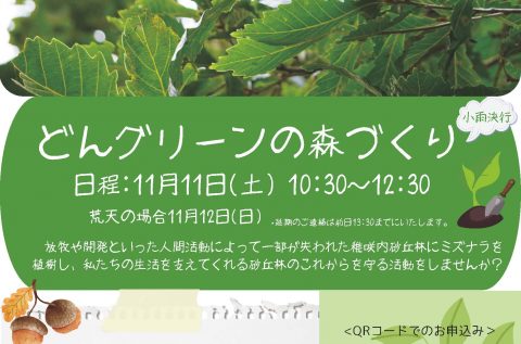 11月11日開催「どんグリーンの森づくり」