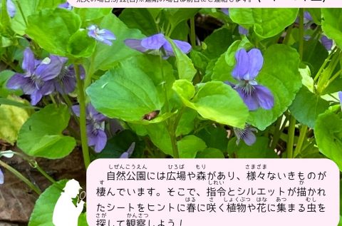 【5月11日開催】なまサロ_春のいきもの探しin自然公園