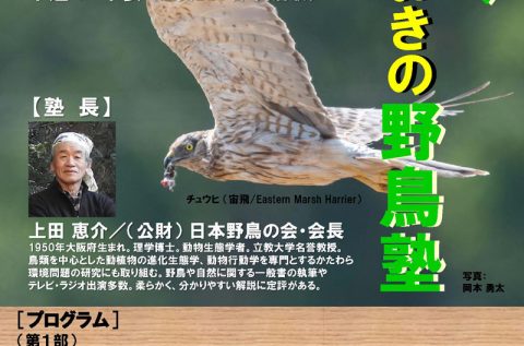 ほろのべとっておきの野鳥塾 9/22（日）