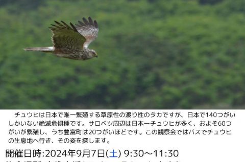 豊富チュウヒ観察会 9/7(土）