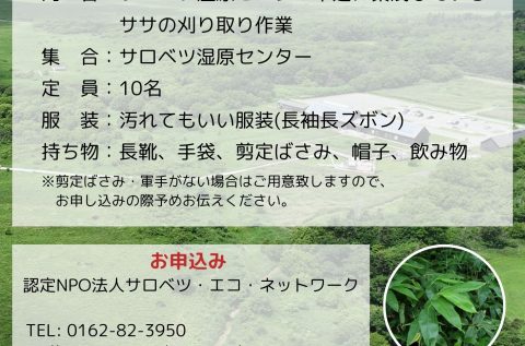 サロベツ湿原ササ刈りイベント10月27日開催