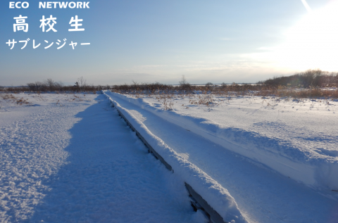 12月21日　木道巡視