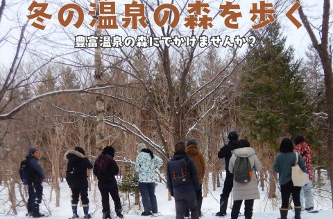 「冬の温泉の森を歩く」を開催します