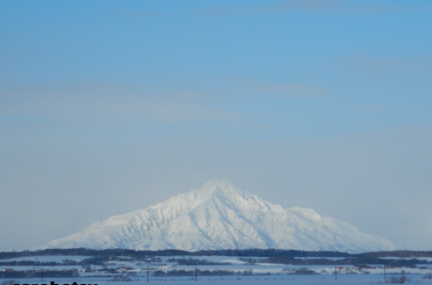 2月2日　巡視