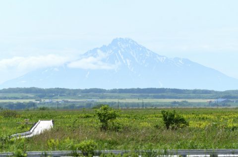 250612　陽射しの暖かい木道から