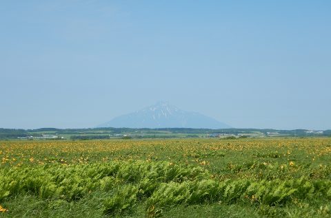 6月25日　木道3周した日