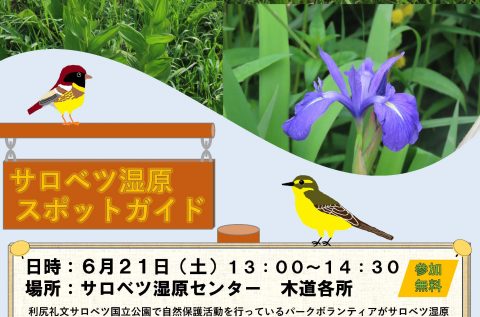 サロベツ湿原スポットガイドが開催されます！