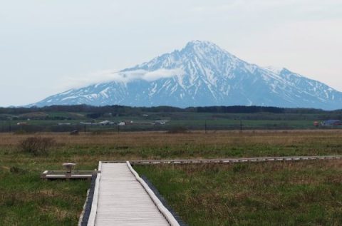 260519 最新開花情報！
