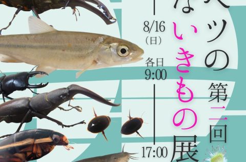 第2回サロベツの身近ないきもの展