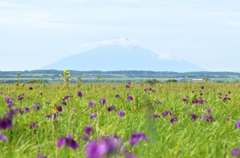 260709　移り変わる木道から