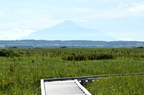 260722　夏に照らされる木道から
