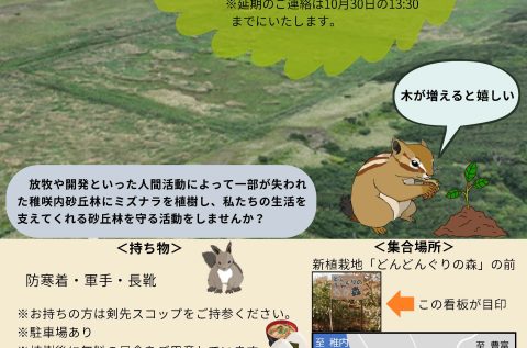 【10/31開催】どんどんぐりの森づくり